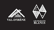 Brand identity logo